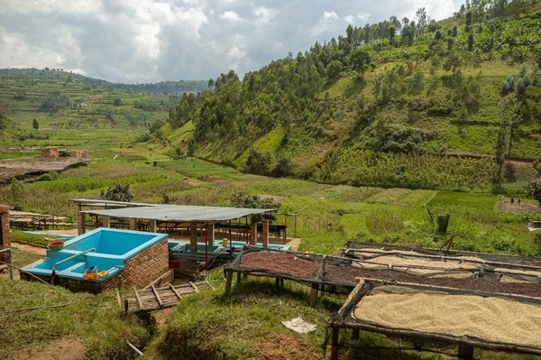 Comment utiliser des matériaux de récupération pour construire des structures de jardin durables?